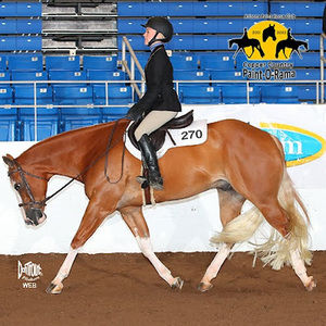 Meet your Posher, Angel